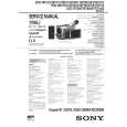 SONY DCRTRV110/E/P Service Manual cover photo