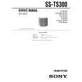 SONY SSTS300 Service Manual cover photo