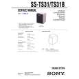 SONY SSTS31 Service Manual cover photo