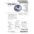 SONY DNE319 Service Manual cover photo